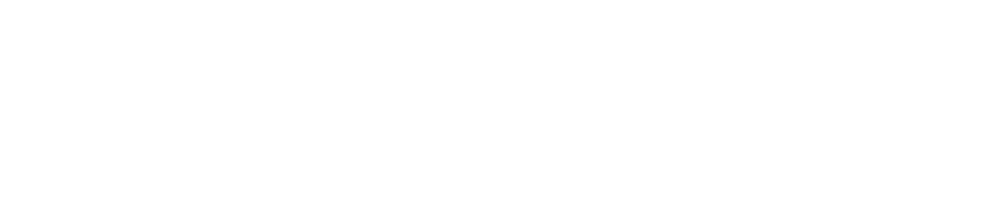 FST Network
